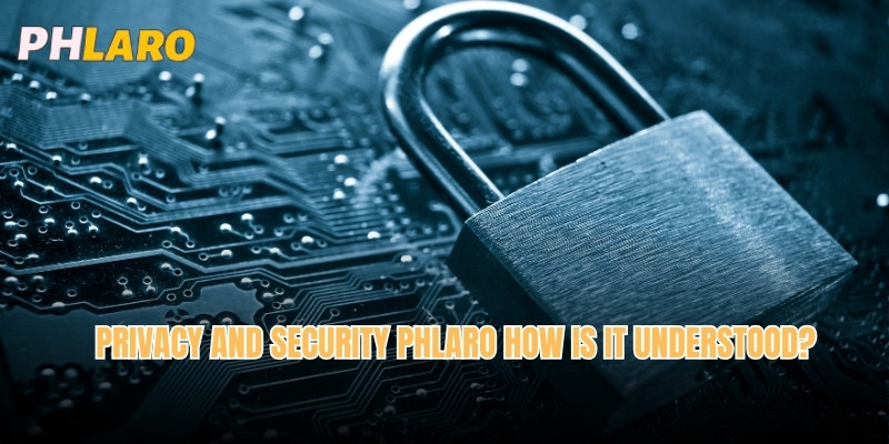 Privacy and Security Phlaro How is it understood?